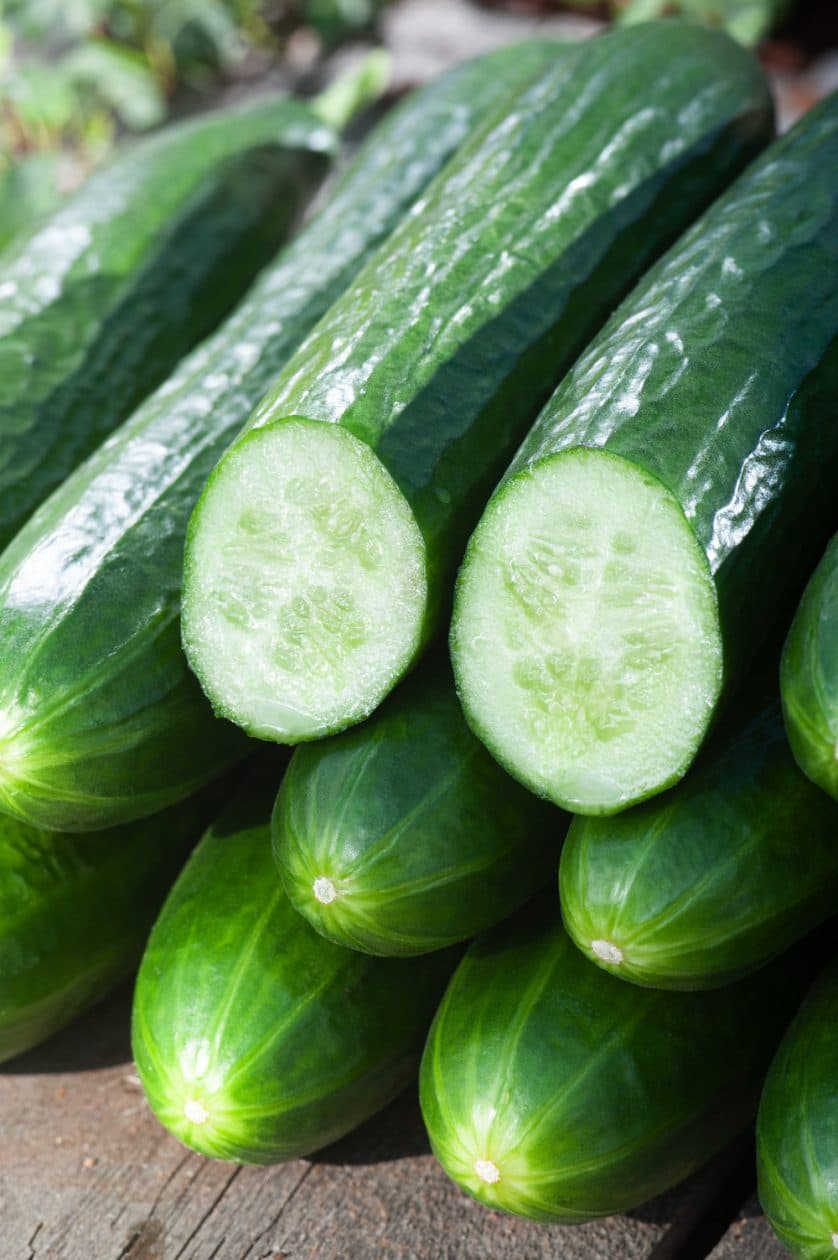 Pepino
