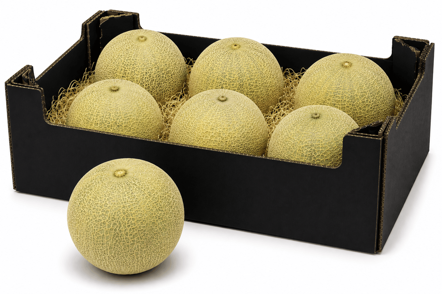 Melon Galia vert