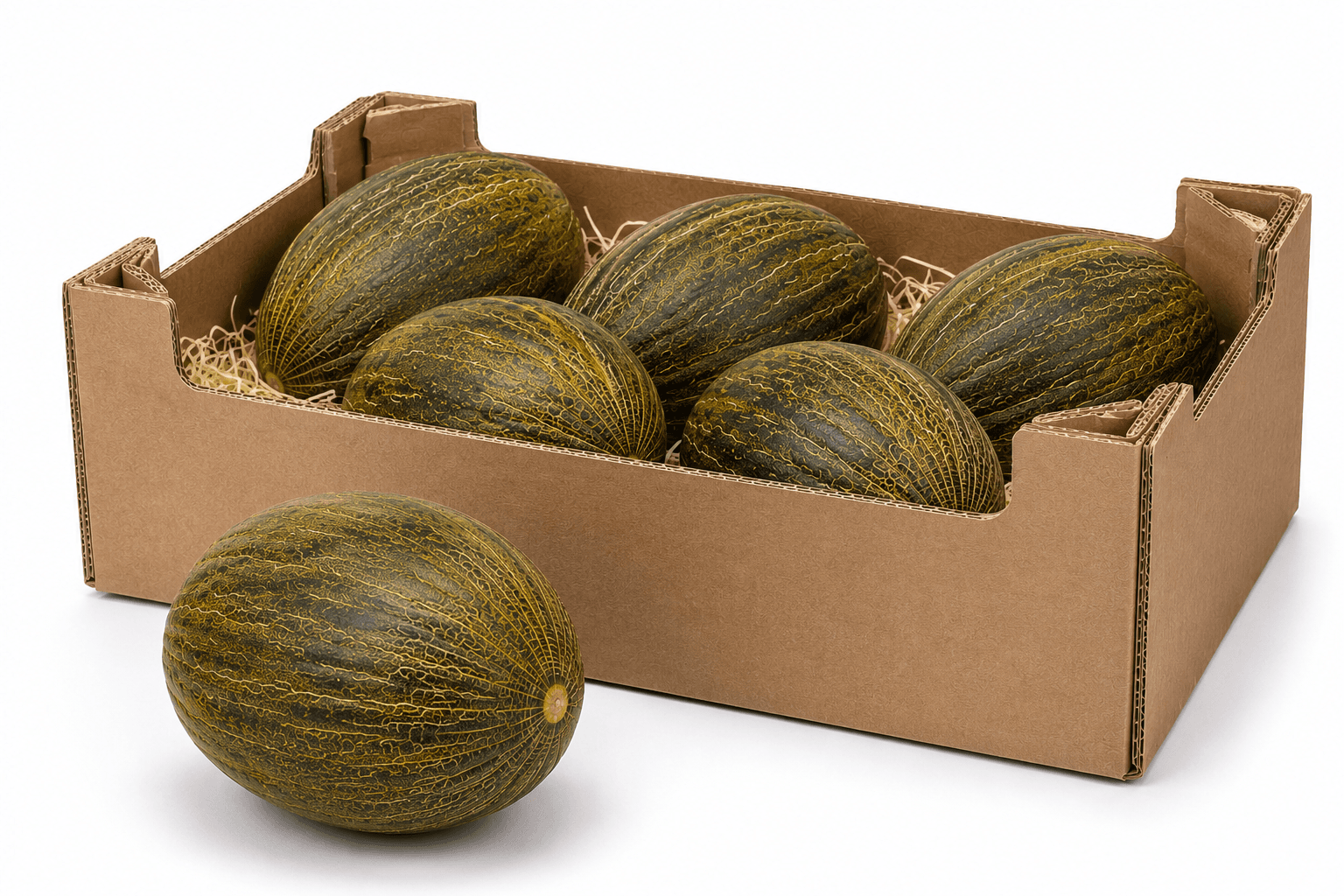 Melon Piel de Sapo