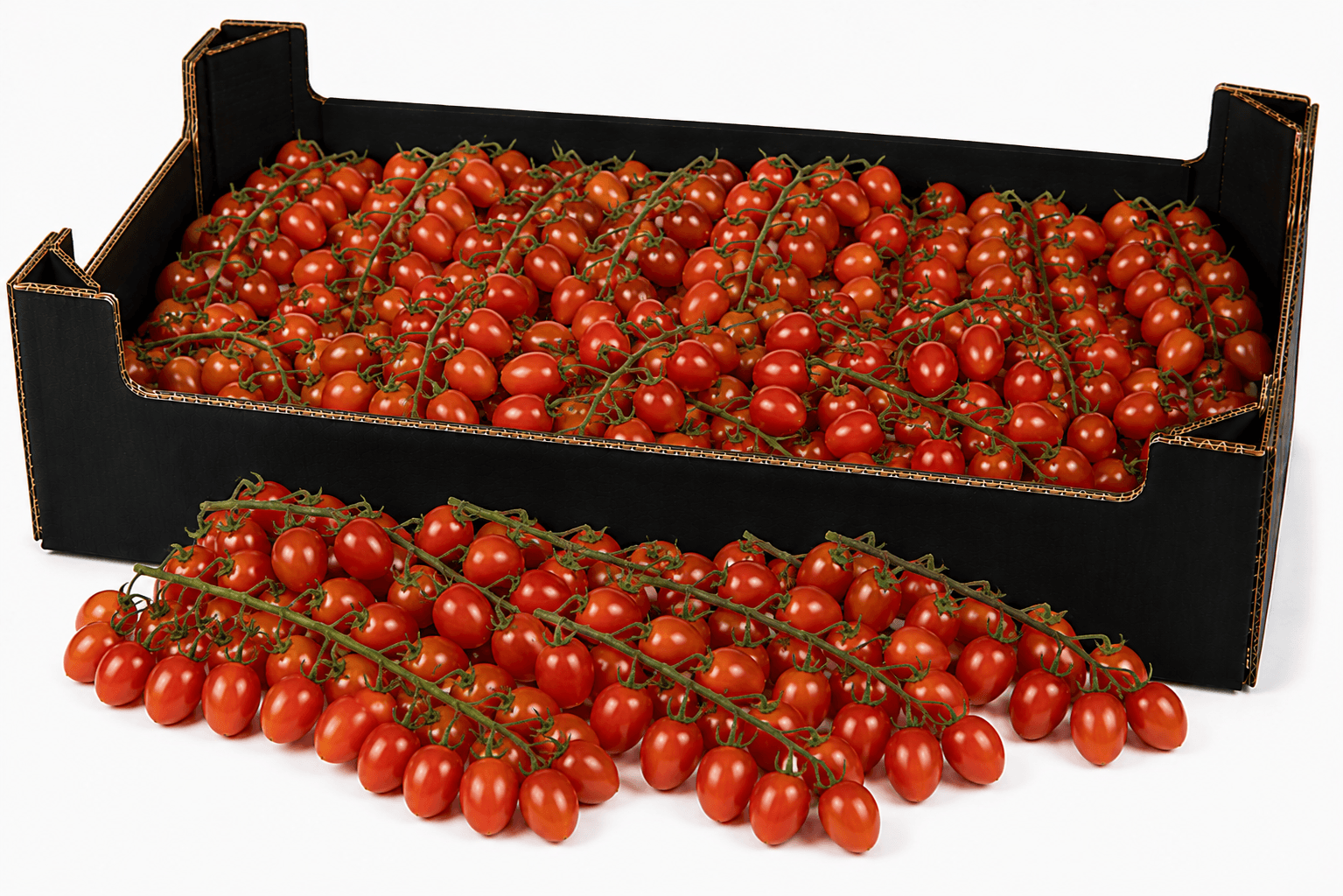 Cherry-Birne Rispe