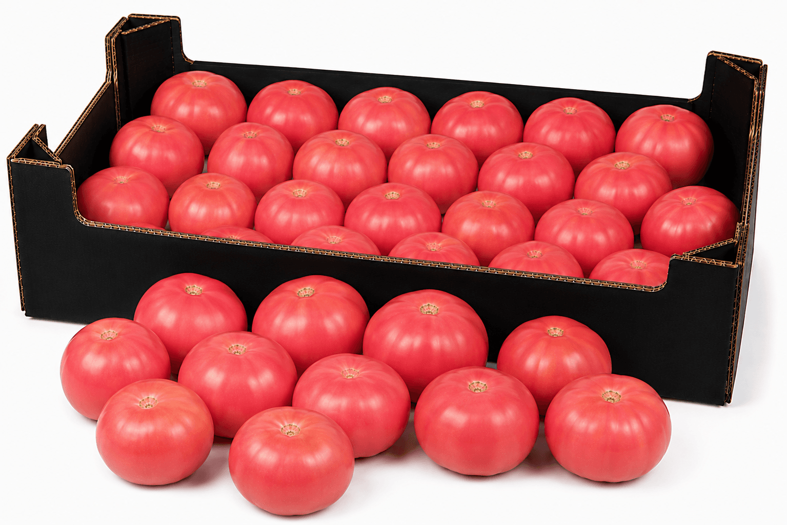 Rosa Tomate