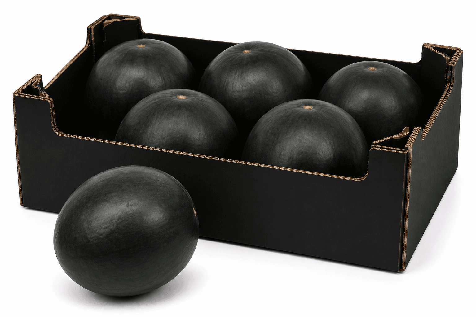 Black Watermelon