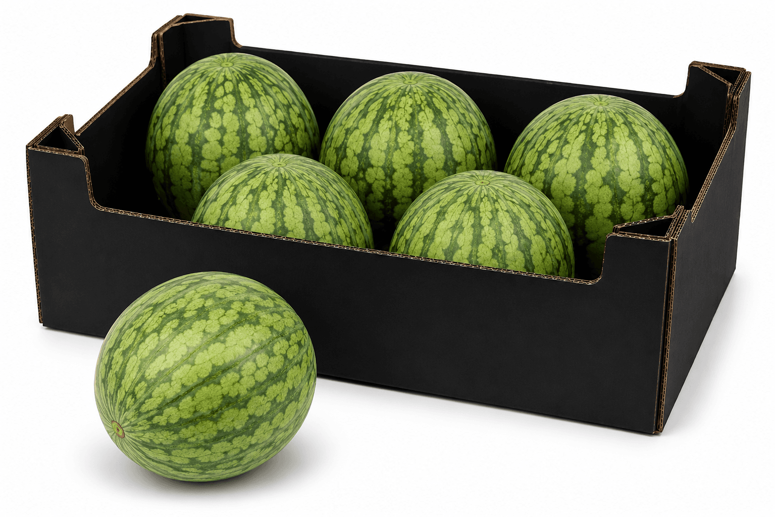 Mini Watermelon